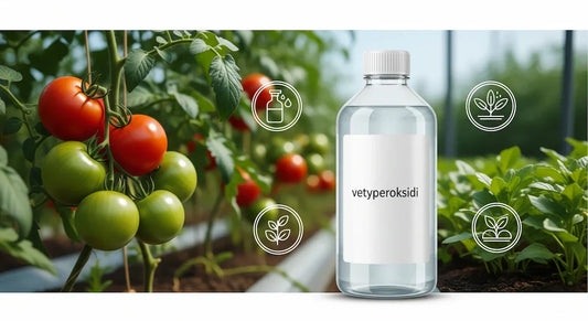 Kuva vetyperoksidipullosta ja kasvavista tomaateista, symboloi puhdasta vettä ja parempaa kasvua viljelyssä.
