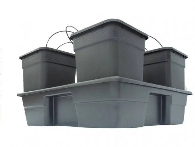 Wilma XL 4 – Automaatne tilkniisutussüsteem 4 × 25L pottidega