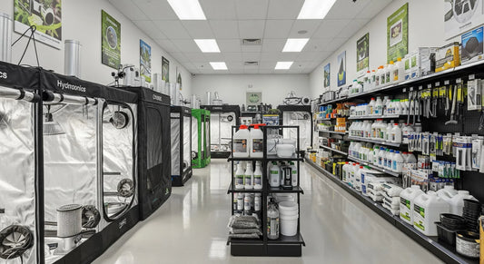 Growshop – Mitä termi tarkoittaa ja mihin kasvatuskauppojen suosio perustuu?