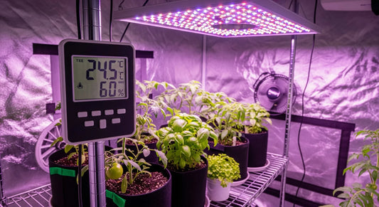 Kosteusmittarin käyttö sisäviljelyssä – mitä asioita kannattaa mitata?