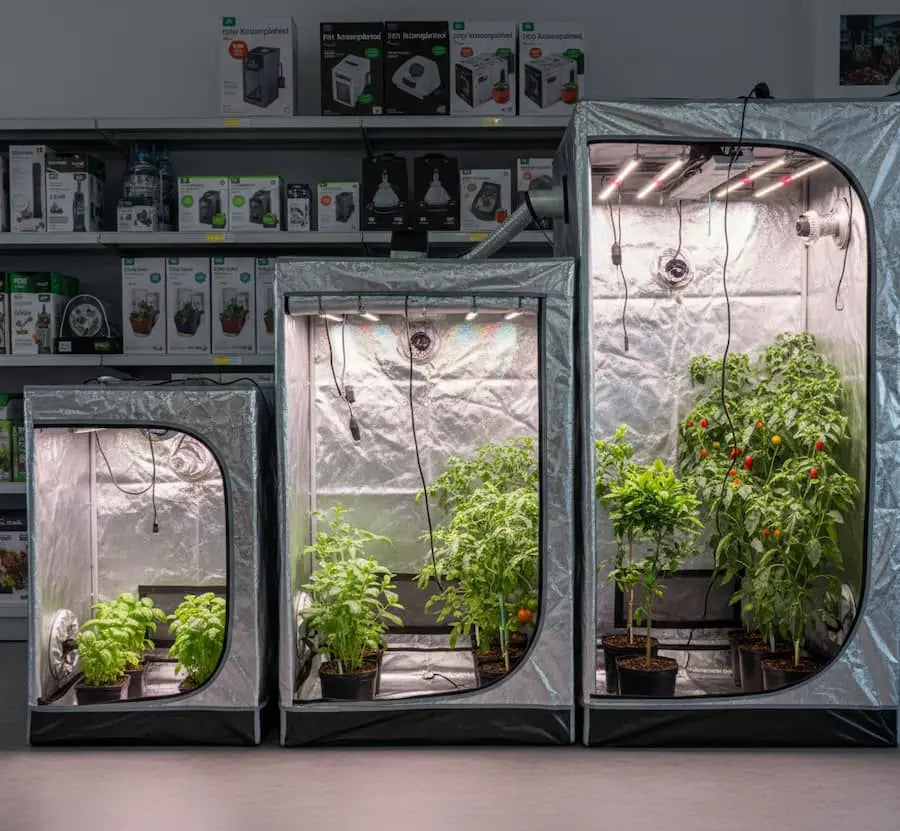 Erilaisia kasvatustelttoja myymälässä, esillä kasvien kanssa.