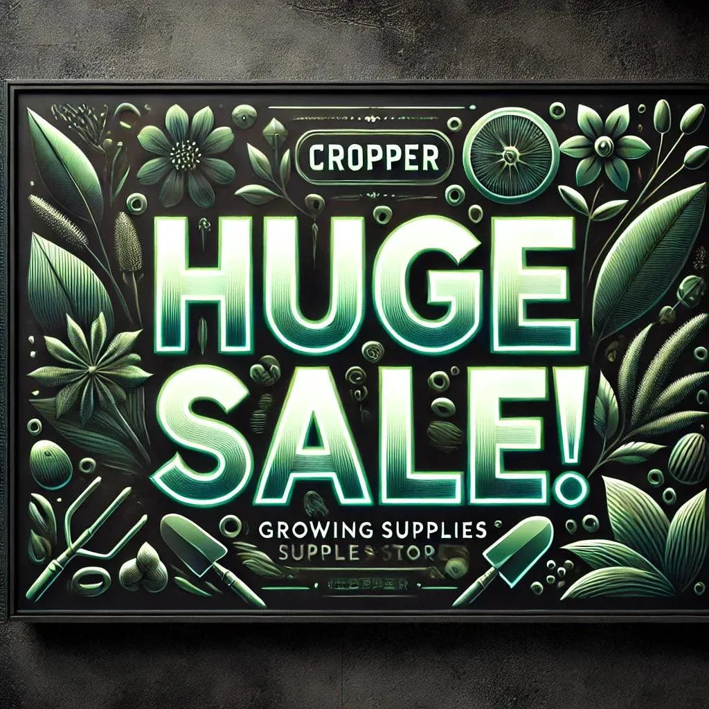 ⚡️ Ale! ⚡️ - Cropper