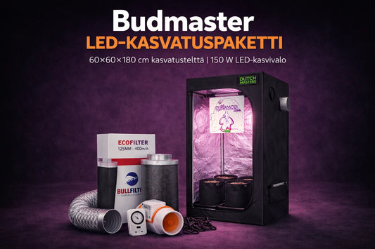 Budmaster LED-kasvatuspaketti | Telttapaketti 150W LED & 60×60×180 cm kasvatusteltta