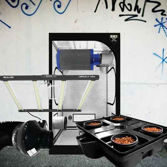 Rookie Rise kasvatuspaketti | DWC LED-kasvatuspaketti 420W & kasvatustelttapaketti 120x120x200cm